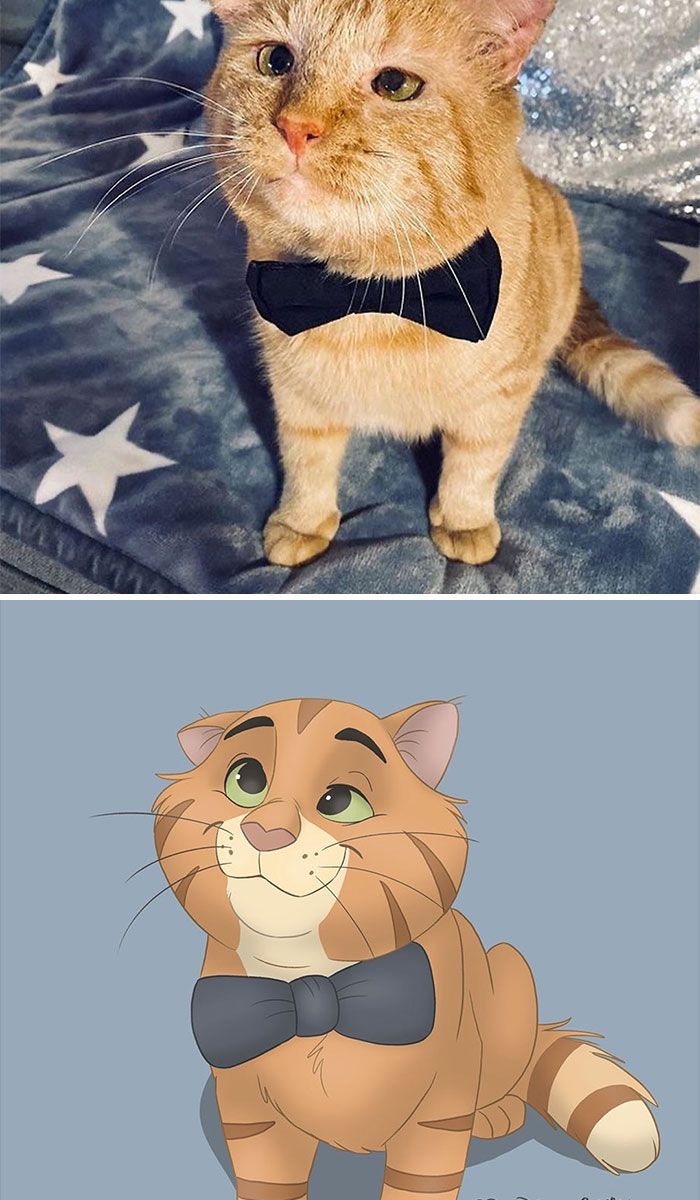 As Pessoas Mandam Fotos De Seus Pets Para Esta Artista E Ela Os Transforma Em Personagens Da Disney