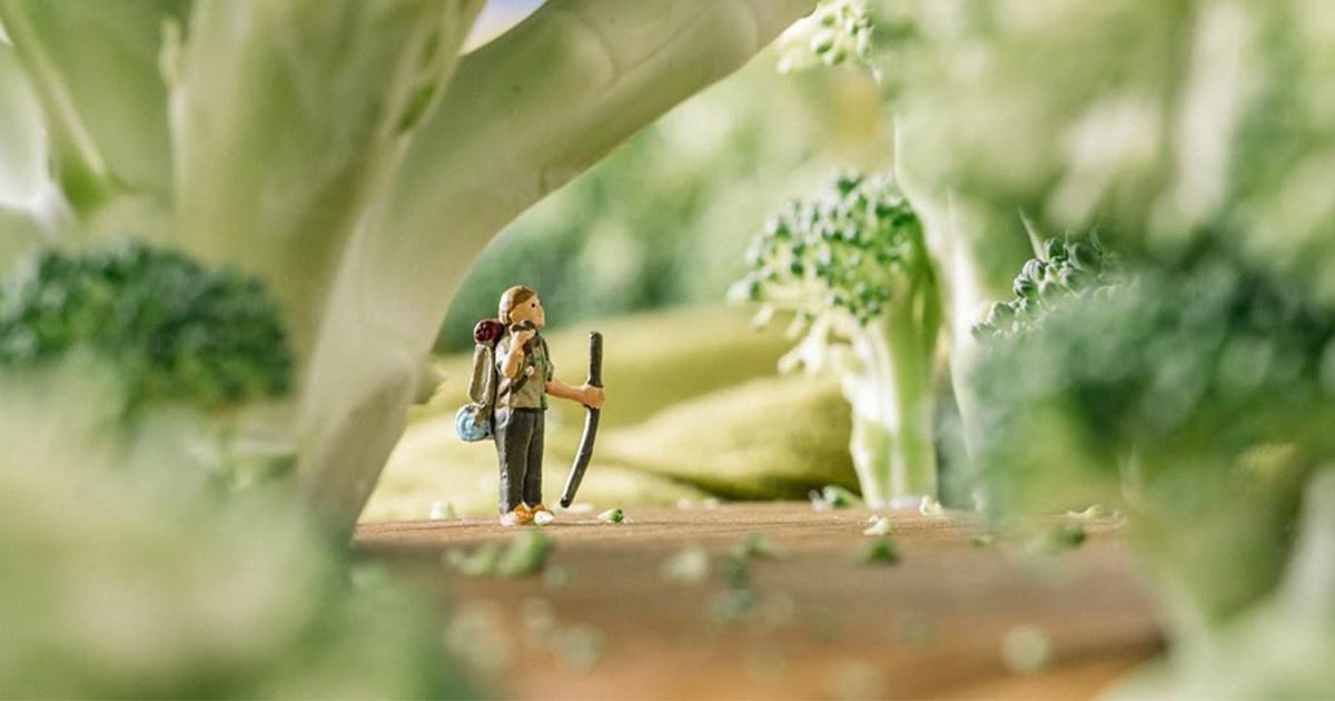 Fotógrafo De Viagens Em Quarentena Cria Cenas “Externas” Em Miniatura Com Objetos Do Cotidiano